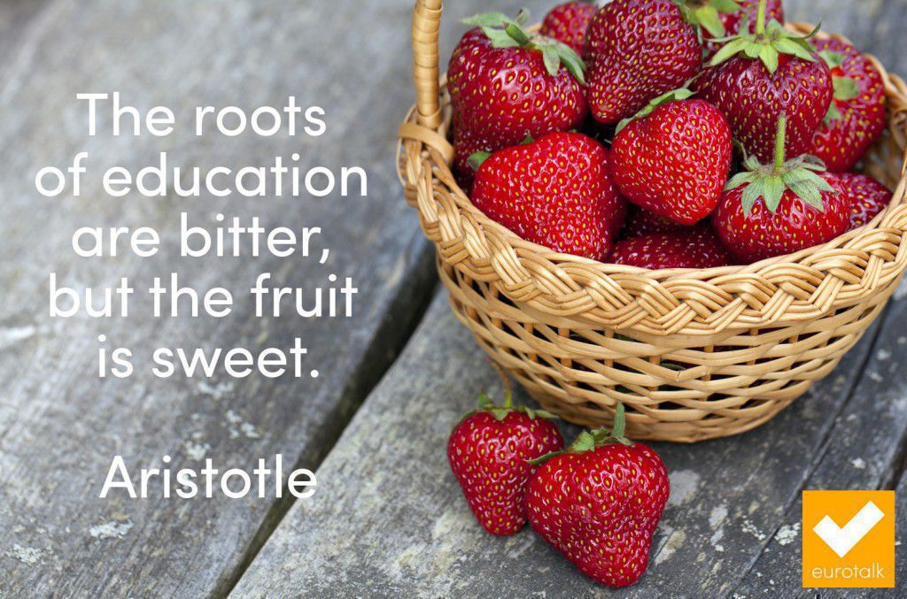 "The roots of education are bitter, but the fruit is sweet." Aristotle