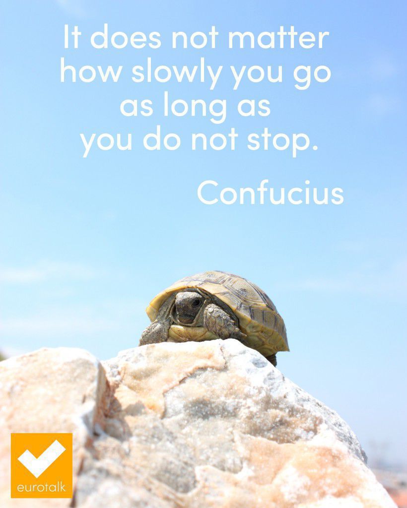 “It does not matter how slowly you go as long as you do not stop.” Confucius