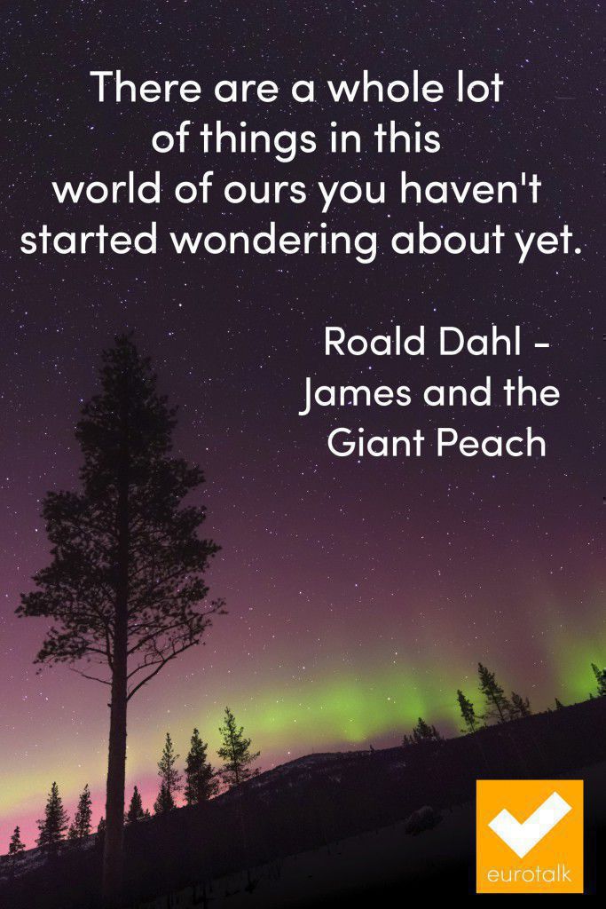 "There are a whole lot of things in this world of ours you haven't started wondering about yet." Roald Dahl