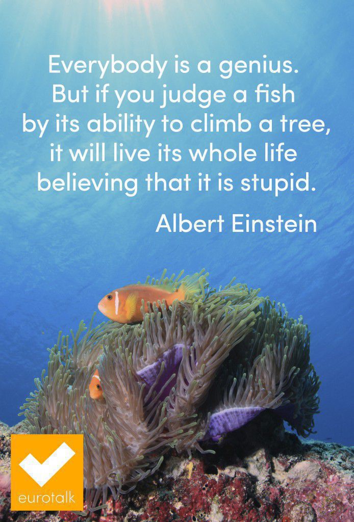 "Everybody is a genius.  But if you judge a fish  by its ability to climb a tree, it will live its whole life  believing that it is stupid." Albert Einstein