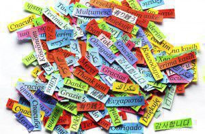 How do you choose which language to learn?