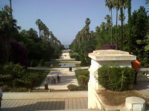 Algiers botanical garden