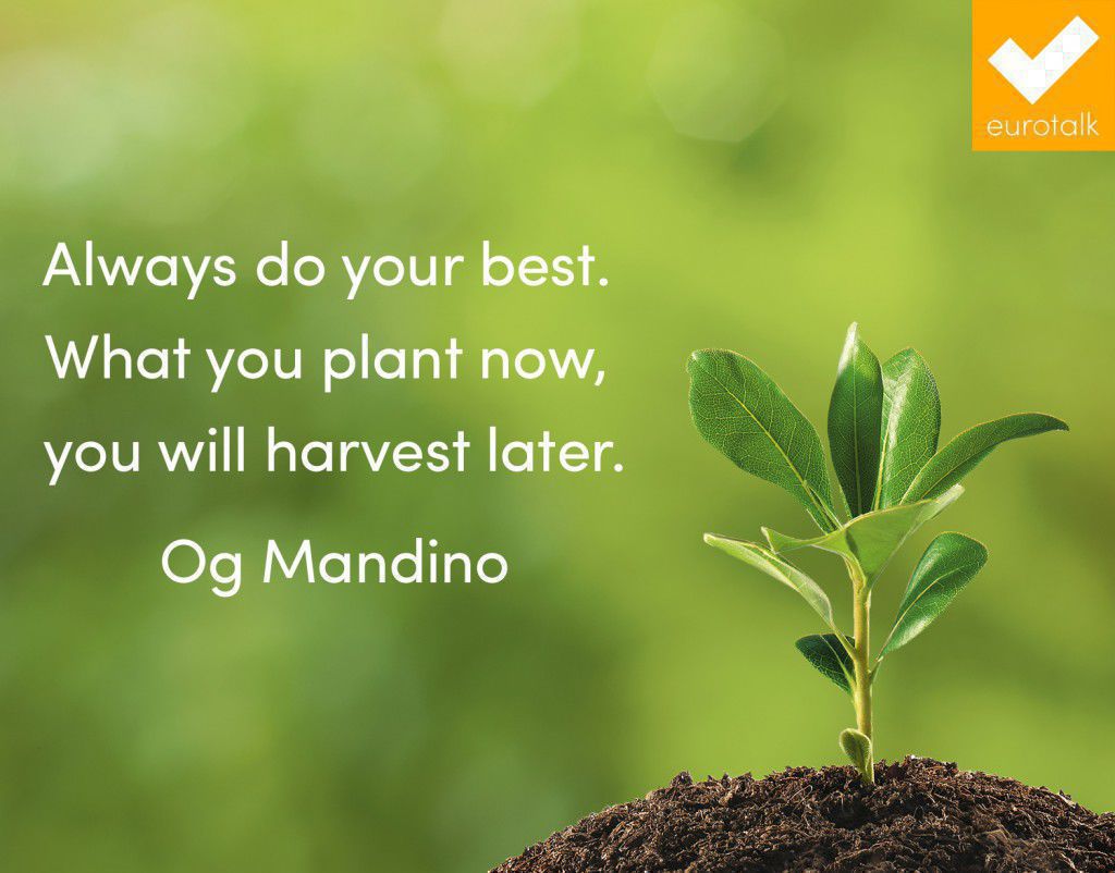 "Always do your best. What you plant now, you will harvest later." Og Mandino