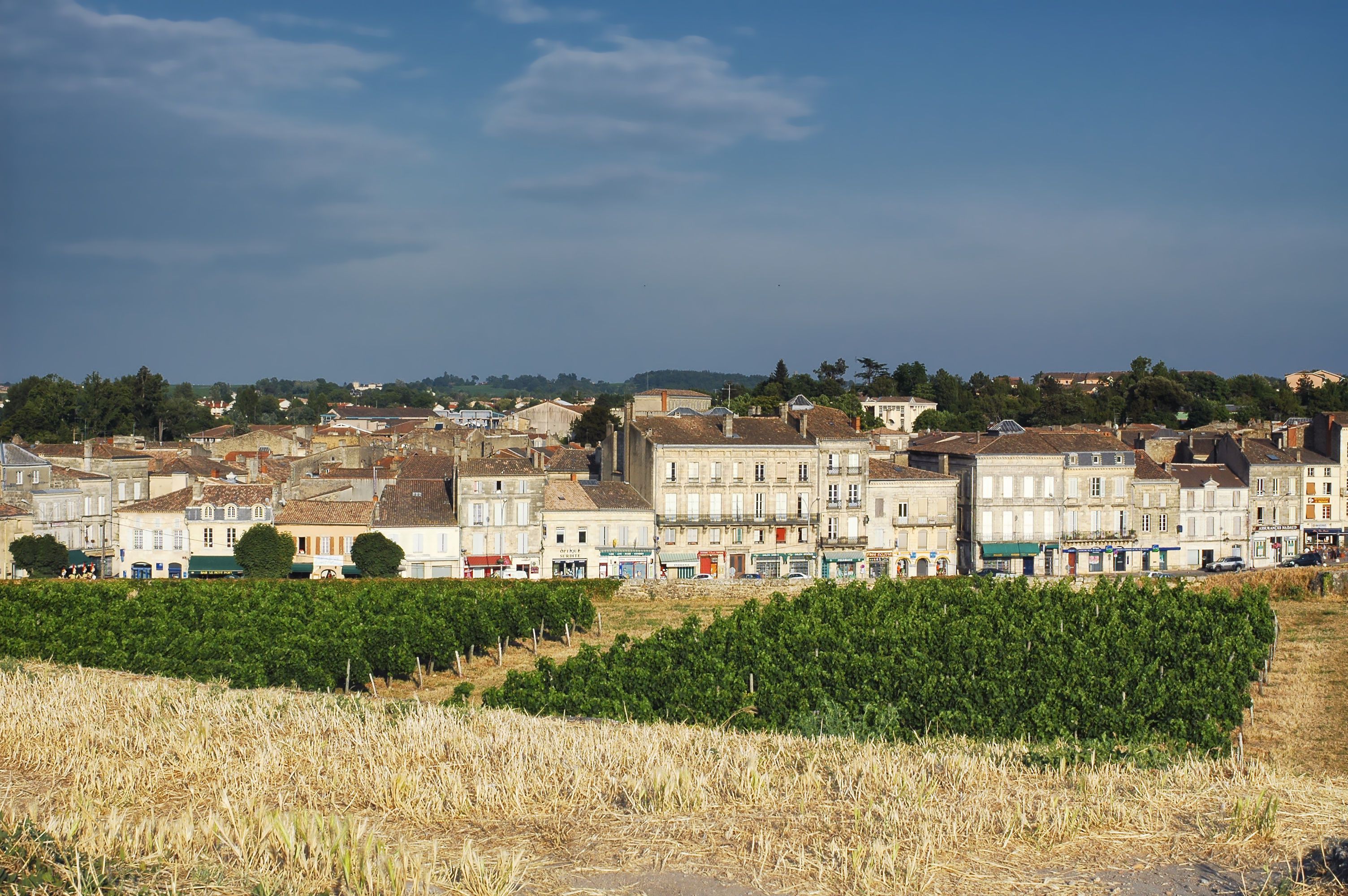 Blaye (Gironde, Aquitaine, France): the historic town with vineyard