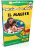 Impara Malese - Vocabulary Builder Malese
