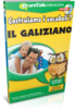 Impara Galiziano - Vocabulary Builder Galiziano