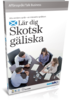 Talk Business Höglandsskotska