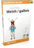 Apprenez gallois - Vocabulary Builder gallois