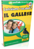 Impara Gallese - Vocabulary Builder Gallese