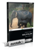Leer Malayalam - Instant USB Malayalam