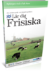 Talk Now! Frisiska